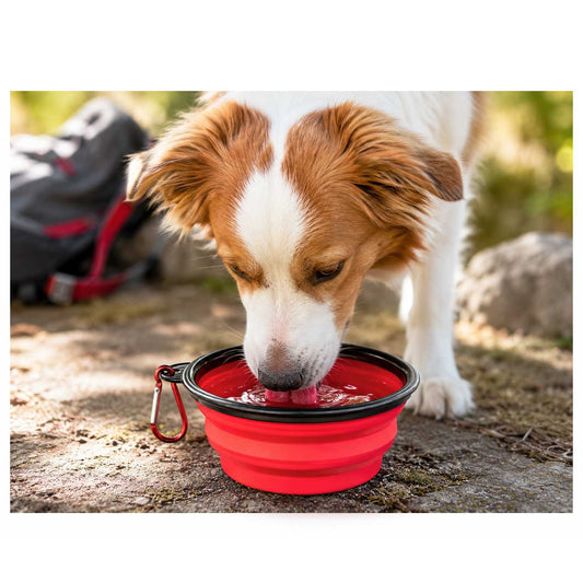 Bebedero Plegable Perro, Vaso Plegable de 350ml, Rojo, Bebedero gatos, Comedero, Bebedero Perro Portátil