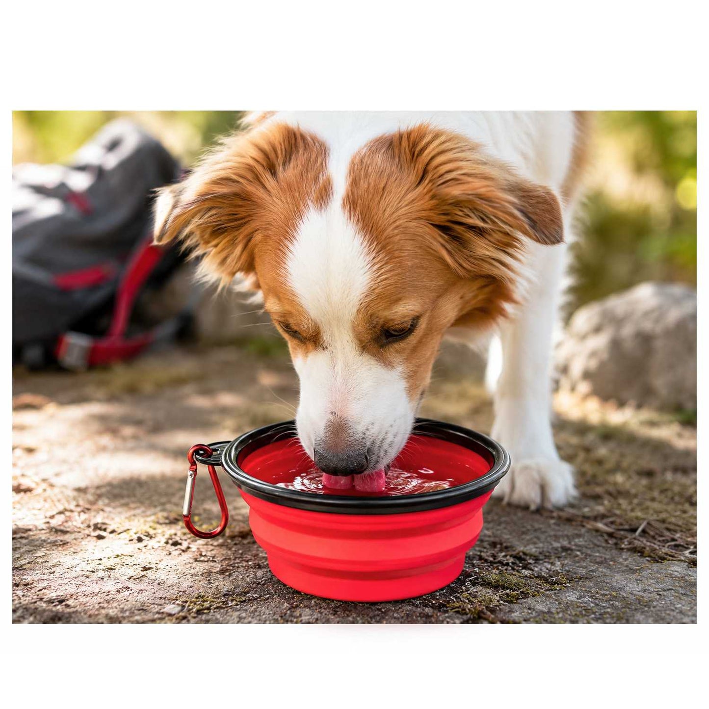 Bebedero Plegable Perro, Vaso Plegable de 350ml, Rojo, Bebedero gatos, Comedero, Bebedero Perro Portátil