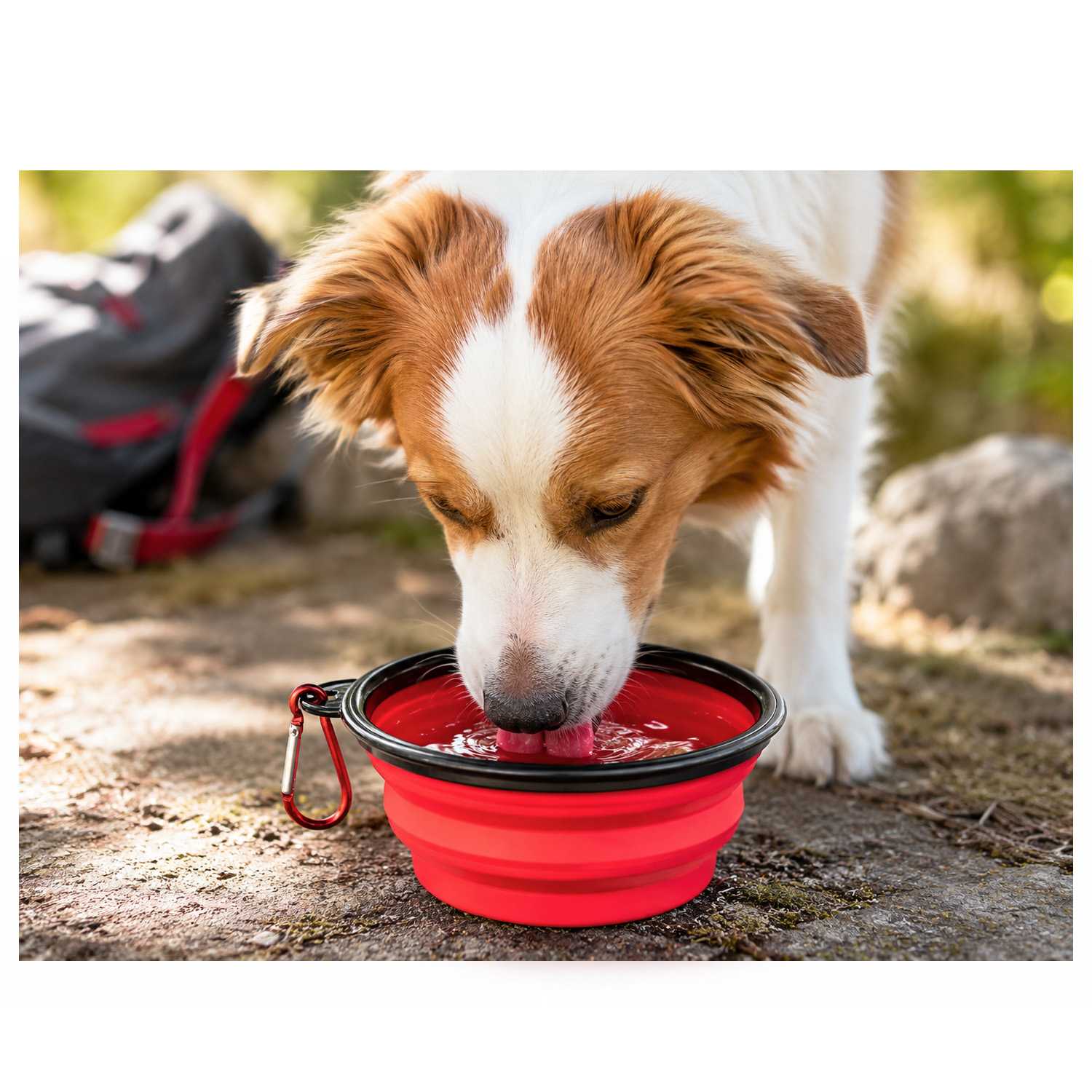 Bebedero Plegable Perro, Vaso Plegable de 350ml, Rojo, Bebedero gatos, Comedero, Bebedero Perro Portátil