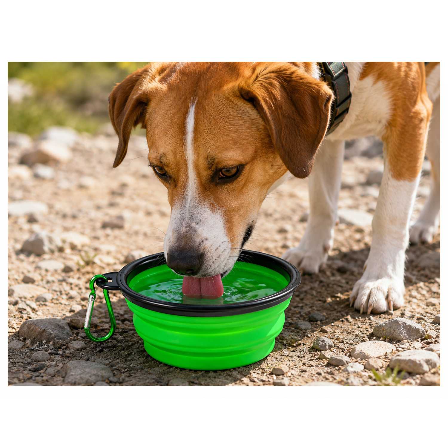 Bebedero Plegable Perro, Vaso Plegable de 350ml, Verde, Bebedero gatos, Comedero, Bebedero Perro Portátil